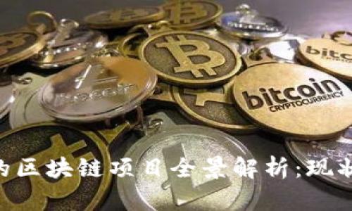 周口市建设的区块链项目全景解析：现状、影响与未来