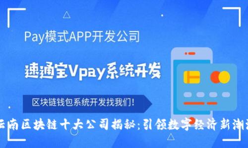 云南区块链十大公司揭秘：引领数字经济新潮流