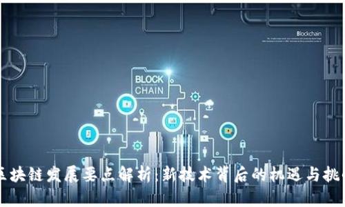 区块链发展要点解析：新技术背后的机遇与挑战