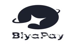 TP钱包发行币的详细指南：如何在TP钱包上创建和