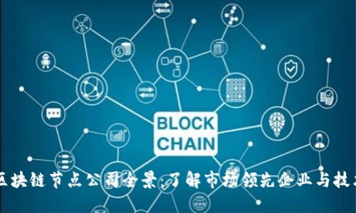 美国区块链节点公司全景：了解市场领先企业与技术创新