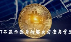TP钱包NFT不显示图片的解决方案与常见问题解析