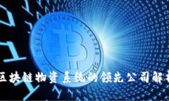 区块链物资系统的领先公司解析