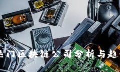 当前热门区块链公司分析与趋势展望