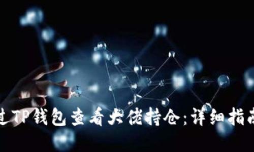 如何通过TP钱包查看大佬持仓：详细指南与技巧