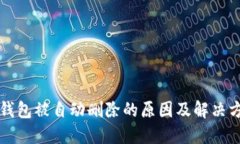 TP钱包被自动删除的原因及解决方法