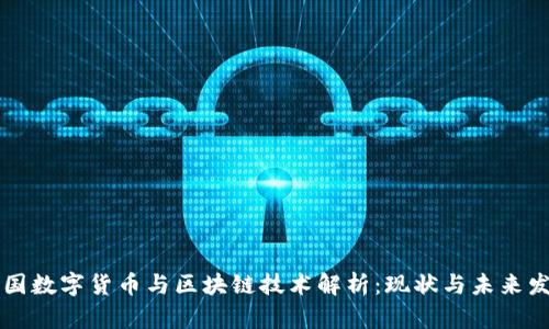 中国数字货币与区块链技术解析：现状与未来发展