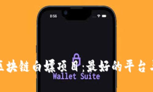 探索区块链白嫖项目：最好的平台与资源