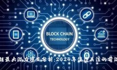 区块链最大潜力项目分析：2024年值得关注的前沿