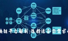 全球主流区块链平台解析：选择适合你需求的区