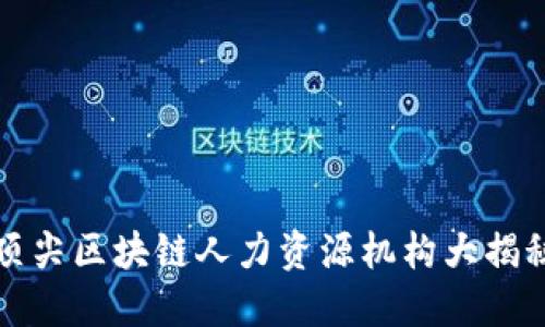 顶尖区块链人力资源机构大揭秘