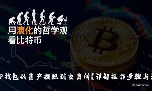 如何将TP钱包的资产提现到交易所？详解操作步骤与注意事项
