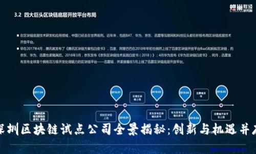 深圳区块链试点公司全景揭秘：创新与机遇并存