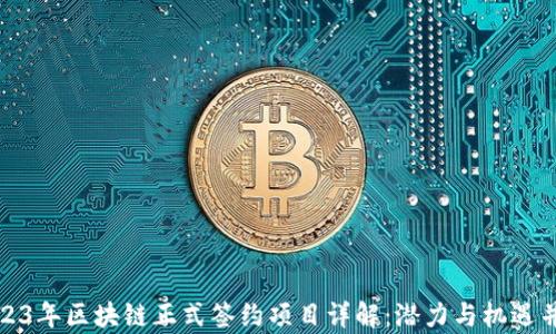 
2023年区块链正式签约项目详解：潜力与机遇并存