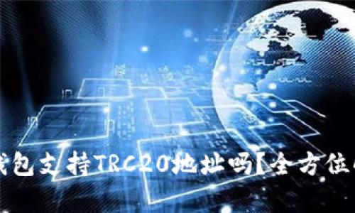 TP钱包支持TRC20地址吗？全方位解析