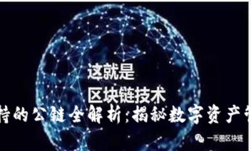 TP钱包支持的公链全解析：揭秘数字资产管理的未来