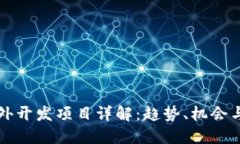 区块链海外开发项目详解：趋势、机会与成功案
