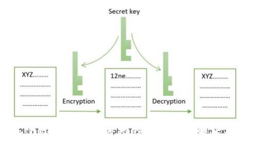 如何在TP钱包中恢复丢失的猪币以及解决相关问题