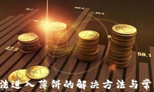 
t P钱包无法进入薄饼的解决方法与常见问题解析