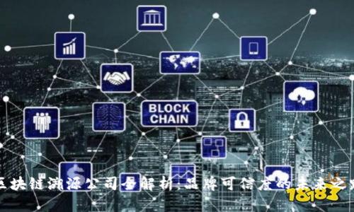 区块链溯源公司全解析：品牌可信度的未来之路