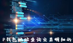 全面解析T P钱包地址查询交易明细的方法与技巧