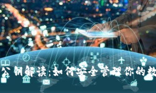 TP钱包公钥解读：如何安全管理你的数字资产