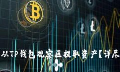 如何从TP钱包观察区提取资产？详尽指南