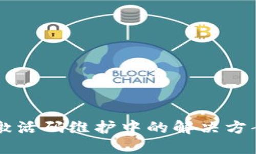 TP钱包IOST激活码维护中的解决方案与用户指南