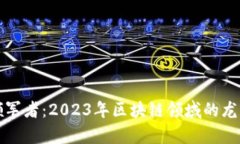数字化时代的领军者：2023年区块链领域的龙头公