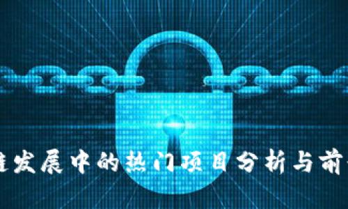 区块链发展中的热门项目分析与前景展望