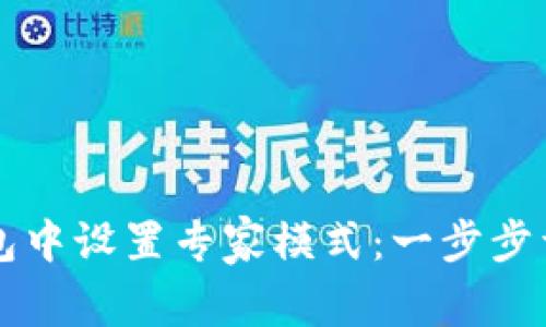 如何在TP钱包中设置专家模式：一步步详解操作指南