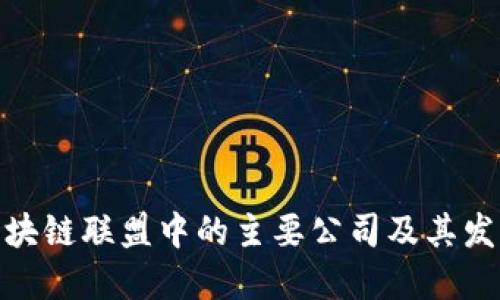 辽宁区块链联盟中的主要公司及其发展概况