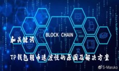 和关键词TP钱包转币速度慢的原因及解决方案