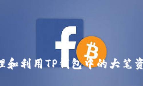 如何安全管理和利用TP钱包中的大笔资金：全面指南
