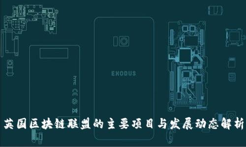 英国区块链联盟的主要项目与发展动态解析
